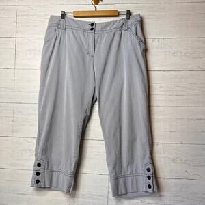 Charter Club Pants Womens Size 18W Blue & White Pinstriped Nautical Classic Fit